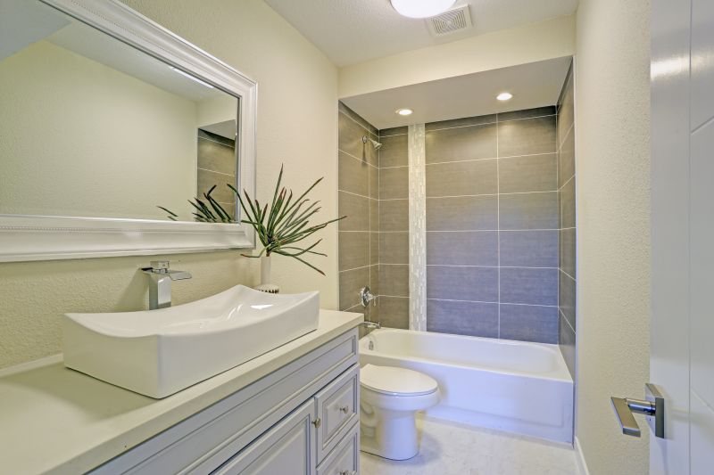 Tub Conversion Service detail